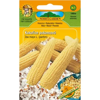 Semeno Osivo Kukuřice pukancová JANTÁR F1 - hybrid