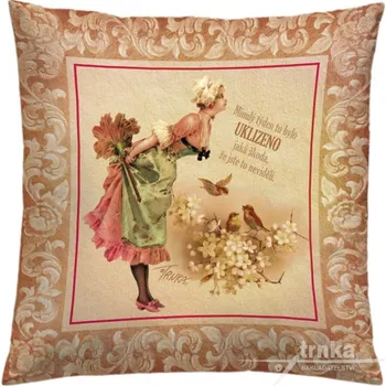 Povlak na dekorativní polštářek Povlak na polštář 40 x 40 cm - Minulý týden bylo uklizeno