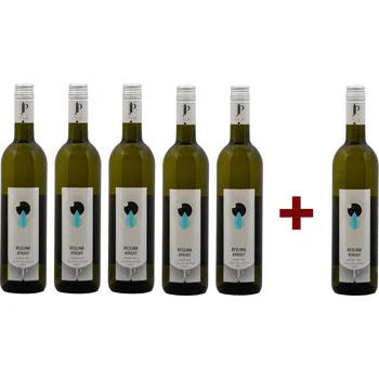 Víno Víno Plaček RYZLINK RÝNSKÝ, 2023, pozdní sběr (5+1) Ryzlink rýnský