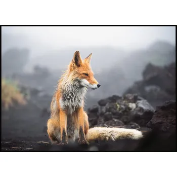 Plakát Jen tak z lásky Plakát Liška Rozměr plakátu: A4 (21 x 29,7 cm), Orientace plakátu: Na šířku