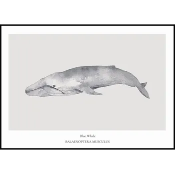Plakát Jen tak z lásky Plakát Blue Whale Rozměr plakátu: A4 (21 x 29,7 cm)