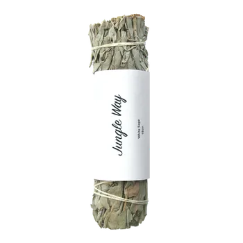 Jungle Way Šalvěj bílá, 18 cm