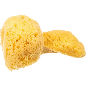 Eat Green EatGreen Mořská hedvábná houba - malá, 2 ks