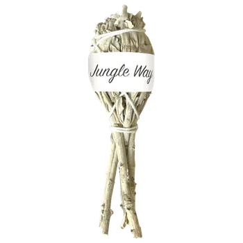 Jungle Way Šalvěj bílá, 10 cm