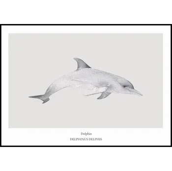 Plakát Jen tak z lásky Plakát Doplhin Rozměr plakátu: A4 (21 x 29,7 cm)