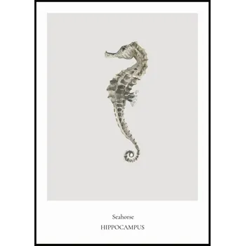 Plakát Jen tak z lásky Plakát Seahorse Rozměr plakátu: A4 (21 x 29,7 cm)