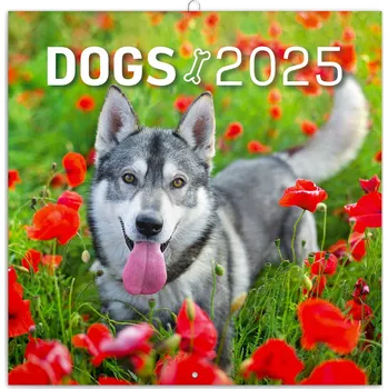 Kalendář Notique Nástěnný poznámkový kalendář Psi 2025