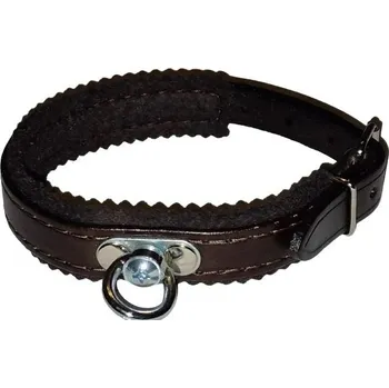 Obojek pro psa Barvářský obojek kožený, podšitý hnědým filcem, šíře 18 mm, obvod 45 cm, hnědý