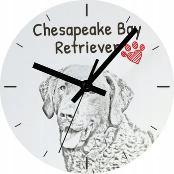 Hodiny Nástěnné hodiny Art-Dog bílé 20 cm