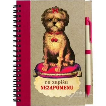 Zápisník Zápisník, Co zapíšu NEZAPOMENU