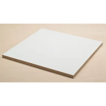 Překližka N/A PV FOLI BŘÍZA barva BÍLÁ 2500/1250/18