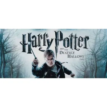 Počítačová hra Harry Potter and the Deathly Hallows - Part 1 (PC) (EA App)