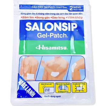 Zdravotnický materiál Velké léčivé náplasti Salonsip (2ks) - PO EXPIRACI