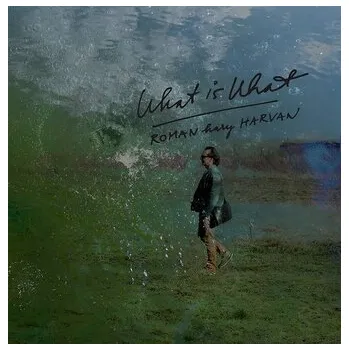 DVD film Roman Harvan: What Is What - Roman Harvan