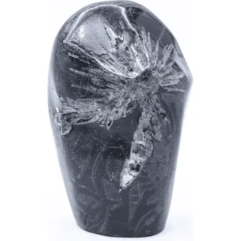 Přírodní kámen Milujeme Kameny Chryzantémový kámen - leštěný ovál CHK30 447598