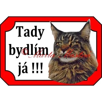 Tabulka kočka mainská mývalí - Bez samolepicí vrstvy