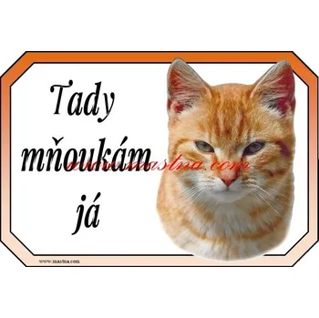 Cedulka kočka evropská zrzek - Bez samolepicí vrstvy