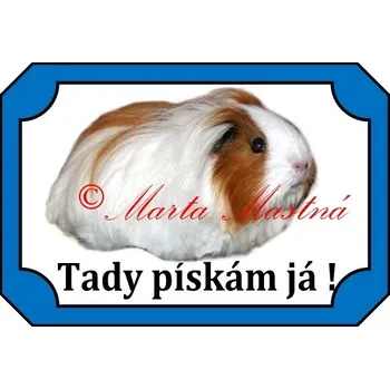 Cedulka morče dlouhosrsté - Bez samolepicí vrstvy