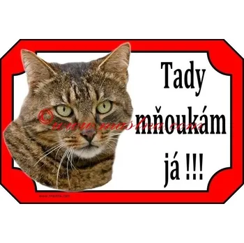 Cedulka kočka evropská tygrovaná, mourek - Bez samolepicí vrstvy