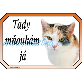 Cedulka kočka evropská tříbarevná - Bez samolepicí vrstvy