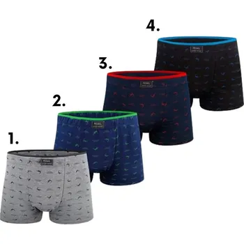 Pánské spodní prádlo Pánské trenkoslipy Pesail T0277