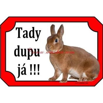 Cedulka králík zakrslý rex oranžový 2 - Bez samolepicí vrstvy