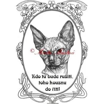 Cedulka kočka sphynx, sfinx ovál - Bez samolepicí vrstvy