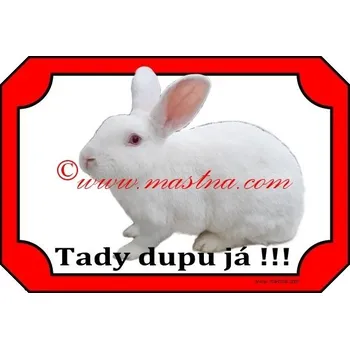 Tabulka králík český albín - Bez samolepicí vrstvy