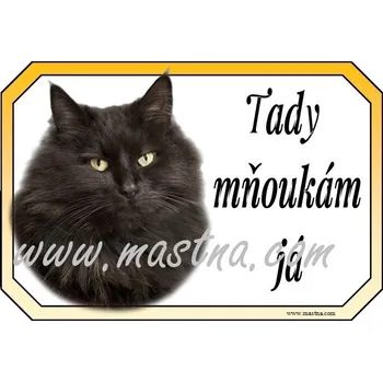 Cedulka kočka černá dlouhosrstá 2 - Bez samolepicí vrstvy