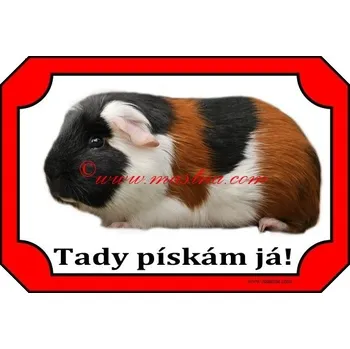 Cedulka morče hladkosrsté trikolor - Bez samolepicí vrstvy