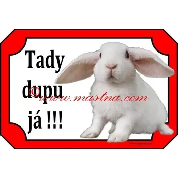 Cedulka králík zakrslý beran rex 2 - Bez samolepicí vrstvy