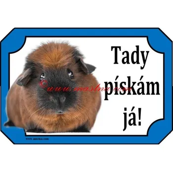 Cedulka morče dur - Bez samolepicí vrstvy