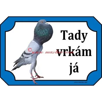 Cedulka holub brněnský voláč modrý 2 - Bez samolepicí vrstvy