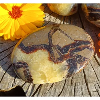 Septárie hmatka 115g (43 x 38 x 21 mm)