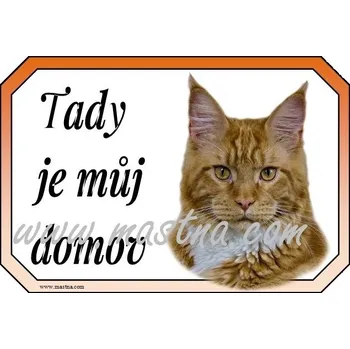Cedulka kočka maine coon, mainská červeně tygrovaná - Bez samolepicí vrstvy