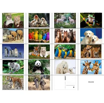 Impap Pohlednice 3D obrázek 11 x 16cm zvířáta 036 - 18 ks
