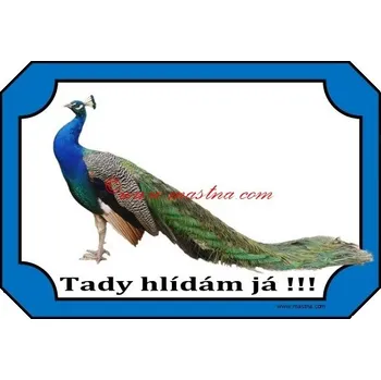 Cedulka páv - Bez samolepicí vrstvy