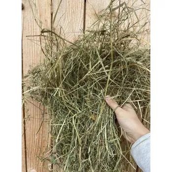 Krmivo pro hlodavce Prémiové seno 6kg - první seč