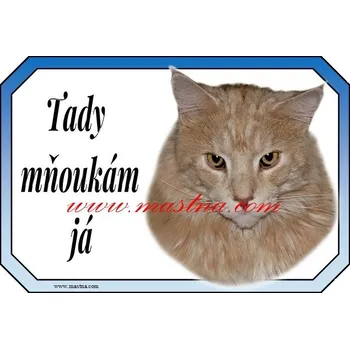 Cedulka kočka maine coon, mainská červená 2 - Bez samolepicí vrstvy
