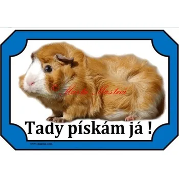 Cedulka morče rozeta zlatobílá - Bez samolepicí vrstvy