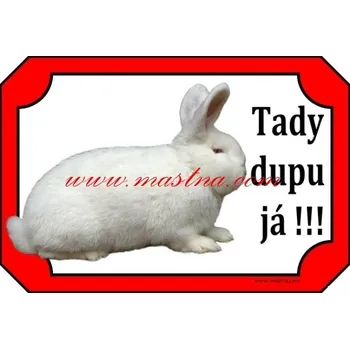 Cedulka králík novozélandský bílý 2 - Bez samolepicí vrstvy