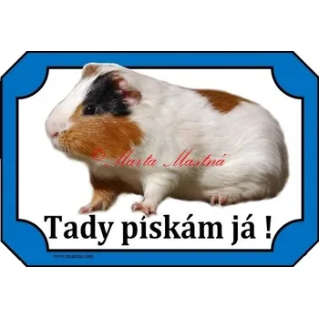 Cedulka morče bílé 2 - Bez samolepicí vrstvy