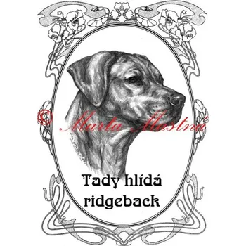 Cedulka rhodéský ridgeback, ridžbek ovál 2 - Bez samolepicí vrstvy
