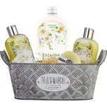 Plechový dárkový koš - Heřmánek