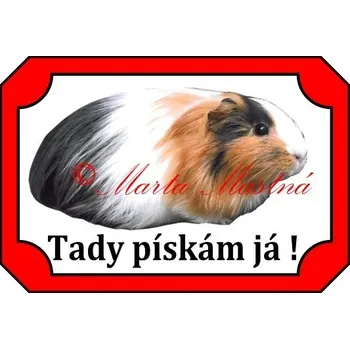 Cedulka morče dl - Bez samolepicí vrstvy