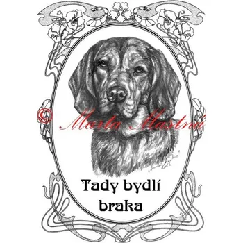 Cedulka alpský jezevčíkovitý brakýř, braka, ovál 2 - Bez samolepicí vrstvy