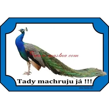 Cedulka páv 2 - Bez samolepicí vrstvy