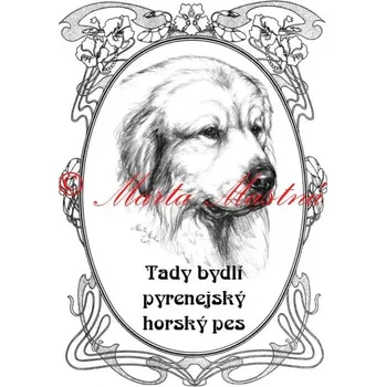 Cedulka pyrenejský horský pes ovál 2 - Bez samolepicí vrstvy