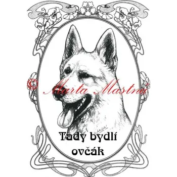 Cedulka švýcarský bílý ovčák ovál 2 - Bez samolepicí vrstvy