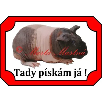 Cedulka morče skinny - Bez samolepicí vrstvy